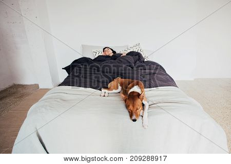 Soft focus shot focused on cute puppy dog sleeping on edge of bed protecting peace of owner who is resting in bed concept pet friendship and relax