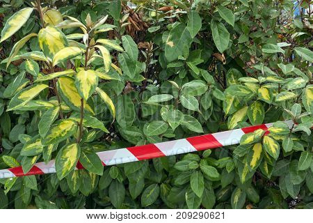 Police tape. Concept- crime scene the danger the restriction of movement.