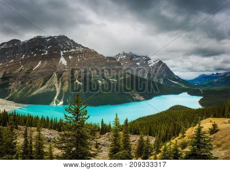 Panorama of Peyto Lake. This is a glacier-fed lake in Banff National Park in the Canadian Rocky Mountains.