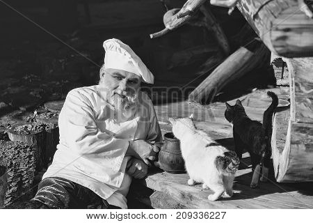 bearded man cook chef in uniform and hat with long beard on smiling face holding iron old tea kettle near black and white cats sunny day outdoor on wooden background