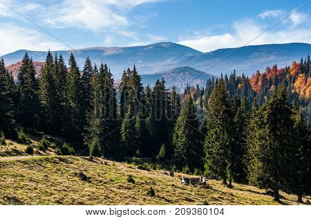 Gorgeous Carpathian Mountain Landscape In Autumn