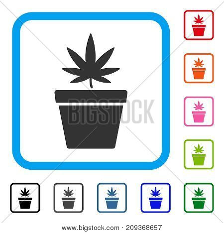 Cannabis Pot icon. Flat grey iconic symbol in a light blue rounded frame. Black, gray, green, blue, red, orange color additional versions of Cannabis Pot vector. Designed for web and software UI.