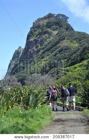 Group Of Young People Hiking In Karekare Beach New Zealand