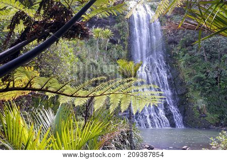 Karekare Falls As Seeing Through Native Bush Of New Zealand