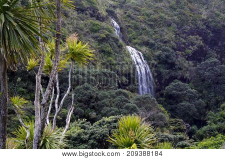 Aerial Llandscape Of Karekare Falls And Native Bush