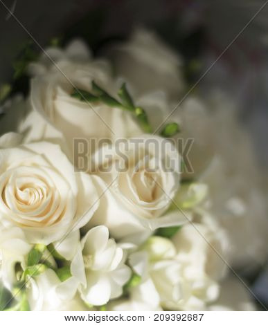 Civil Wedding Bridal Bouquet