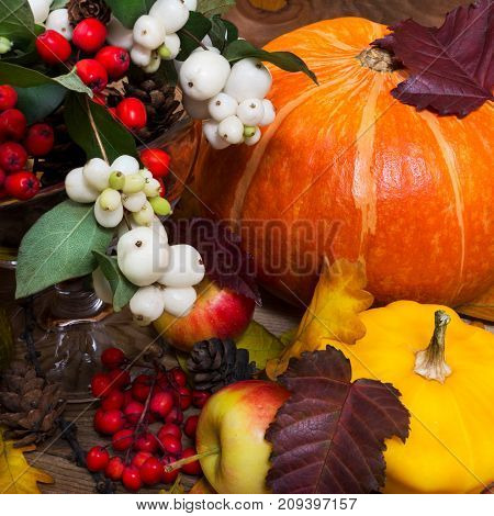 Thanksgiving Decor With Snowberry, Pumpkin, Yellow Squash