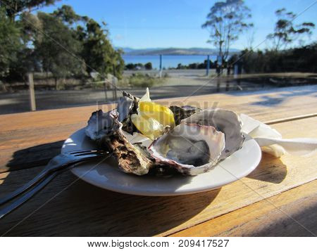 Natural oysters served with a dash of lemon, overlooking the bay