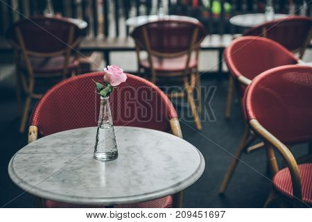 flower in vase on the table of the empty cafe