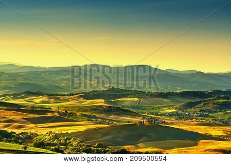 Montalcino Amiata countryside panoramic view vineyard and green fields. Tuscany Italy Europe.