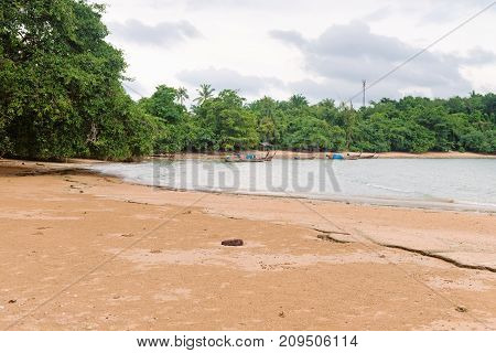 Natural Fossil Shell Beach Or Seashell Graveyard