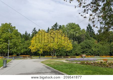 Popular  North park  for rest with autumnal old forest, wooden bench and flower garden in  Vrabnitsa district, Sofia, 

Bulgaria