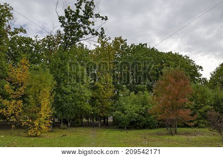 Popular  North park  for rest with autumnal old forest in  Vrabnitsa district, Sofia, Bulgaria