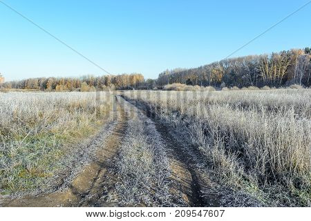 Autumn Autumn Frost Dry Plant first frost Frost Frost In The Field Frost On Plants Frost On The Grass Frost On The Leaves Frost On The Meadow Frost On The Trees Frozen Field Frozen Leaves Frozen Meadow Frozen Plant Late Autumn Meadow Nature Road In Frost