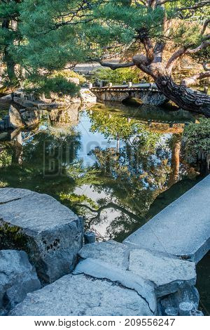 Trees and plants are reflected in a Japanese garden in Seatac Washington.