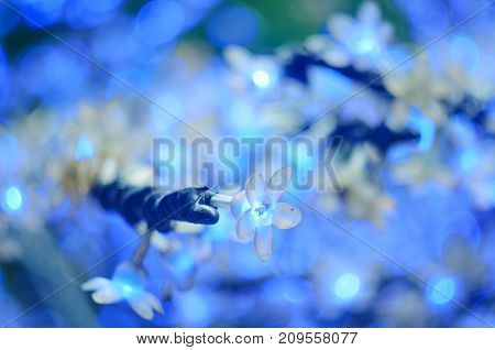 Christmas Led Lights In The Form Of Flowers, Blue Bokeh, Selected Focus
