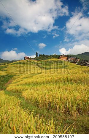 The Longsheng Rice Terraces(Dragon's Backbone) also known as Longji Rice Terraces are located in Longsheng County, about 100 kilometres (62 mi) from Guilin, Guangxi, China