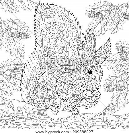 Coloring page of squirrel sitting on oak tree branch and eating pine cone. Freehand sketch drawing for adult antistress coloring book in zentangle style.