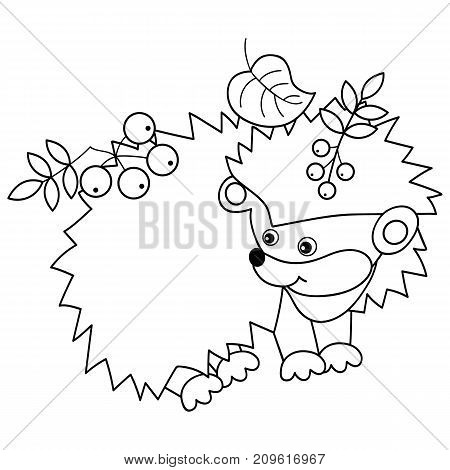 Vector black and white cute hedgehog carrying leaves and berries on spines. Vector hedgehog. Hedgehog vector illustration
