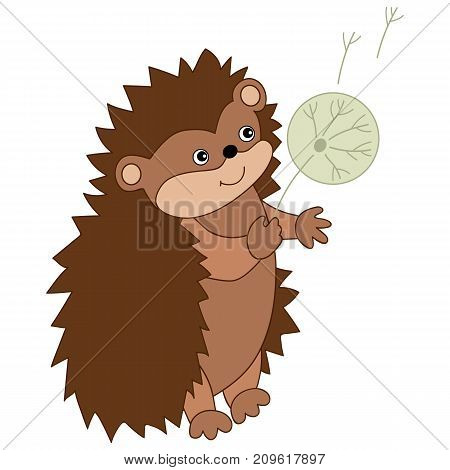 Vector cute carton hedgehog with dandelion. Vector hedgehog. Hedgehog vector illustration