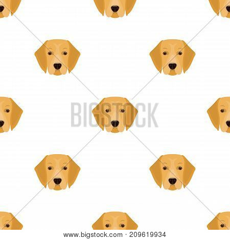 A dog breed, a golden retriever.Muzzle of the Golden Retriever single icon in cartoon style vector symbol stock illustration .