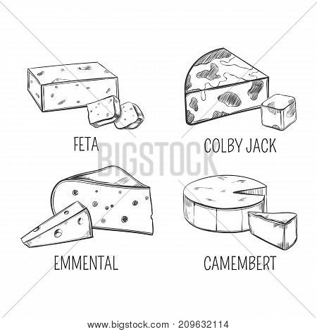 Set of isolated sketches for cheese food. Sliced feta and colby jack, porous french emmental and camembert with holes. Nutrition and food, snack and meal, appetizer and vegetarian gourmet theme