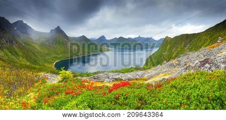 Autumn norvegian scene. Autumn day on norway fjord. Panoramic view at blue fjord on cloudy day.