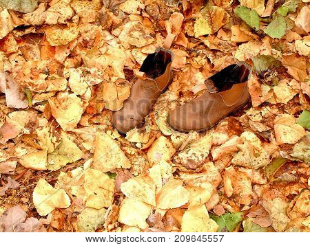 Working Class Boots in Autumn Leaves Australia