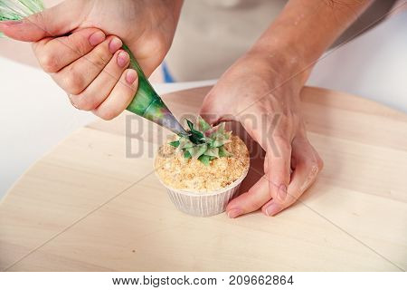 Confectioner Decorates  Cupcake
