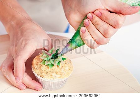 Confectioner Decorates  Cupcake