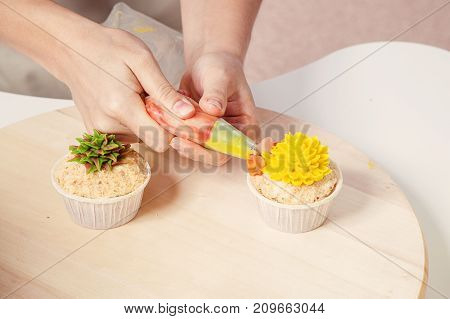 Confectioner Decorates  Cupcake
