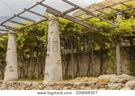 pylons stone and lime columns and chestnut poles support the pergola of rows of grapes /the typical agricultural architecture of the vineyards of Carema, in Piedmont, Italy