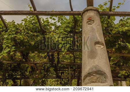 pylons stone and lime columns and chestnut poles support the pergola of rows of grapes /a typical pylon of stone and lime of the vineyards of Carema, Piedmont, Italy