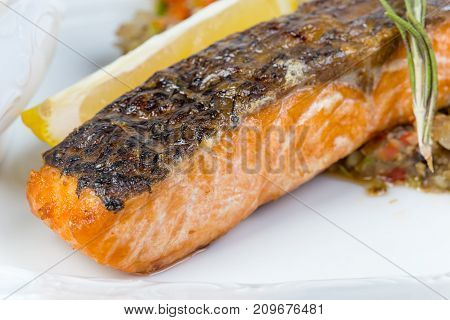 Salmon fillet with vegetables on white baclground
