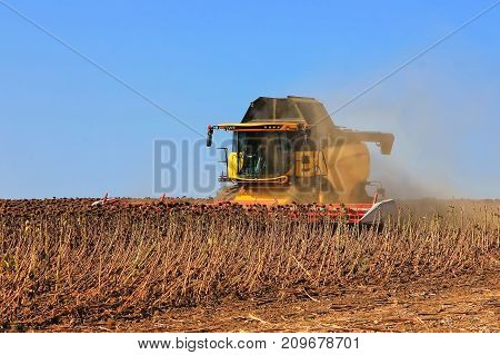 Combine Harvester Working In Action On The Field. Agriculture. Cultivated Area.