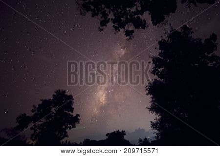 Long exposure and High ISO shot of star and milky way over the mountain and silhouette of tree at night. red tone effect.