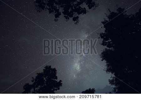 Long exposure and High ISO shot of star and milky way over the mountain and silhouette of tree at night. Blue tone effect.