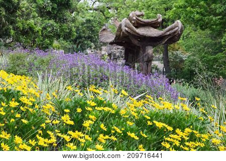 Asian flower garden with yellow and purple flowers