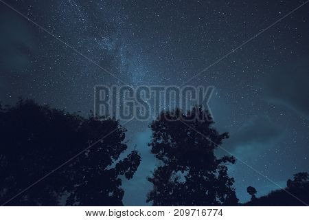 Long exposure and High ISO shot of star and milky way over the mountain and silhouette of tree at night. Blue tone effect.