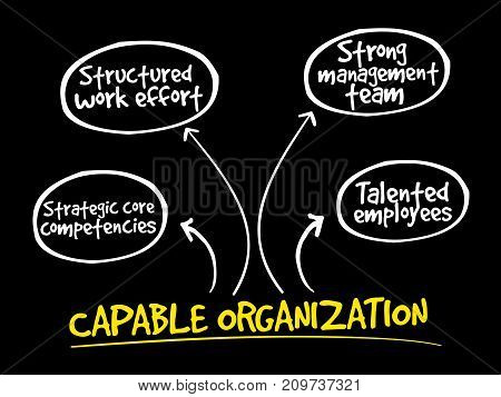 Capable Organization, Strategy