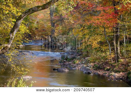 Mountain creek on an autumn day with colorful leaves