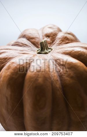 Pumpkins Isolated On White Background. With Shallow Depth Of Field