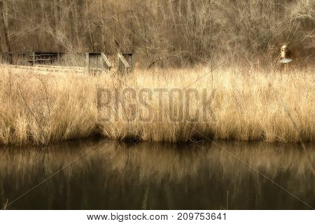Grassy lake with dock with tall grass in the winter