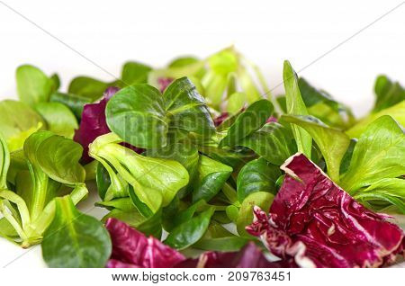 Mix Salad With Spinach, Isolated On White Background