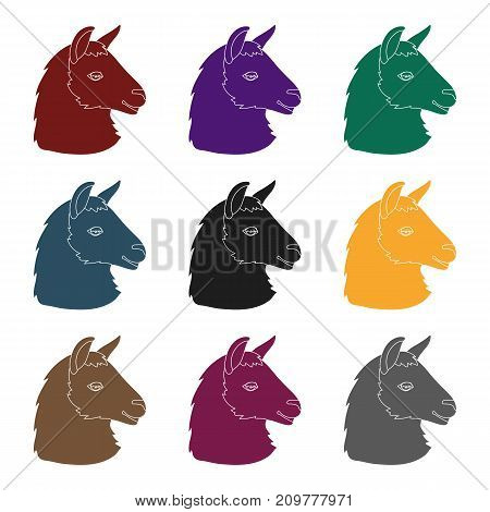Lama icon in black design isolated on white background. Realistic animals symbol stock vector illustration.