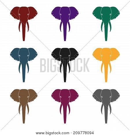 Elephant icon in black design isolated on white background. Realistic animals symbol stock vector illustration.