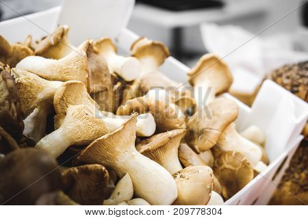mushrooms box closeup funghi porcini autumn season diet