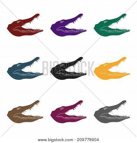 Crocodile icon in black design isolated on white background. Realistic animals symbol stock vector illustration.