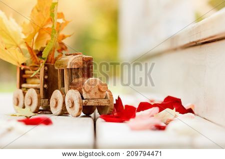 Concept design autumnal mood yellow foliage on a background and a toy train. Fall October or November. Brightly colored maple leaves during autumn.