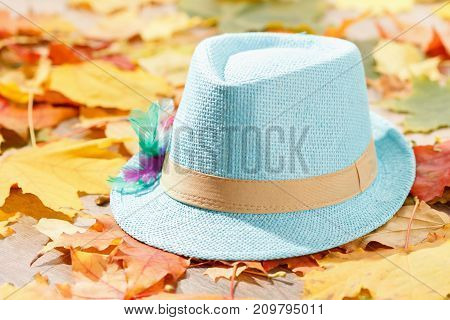 Octoberfest picnic on natural background with tyrolean hat and autumn yellow leaves
